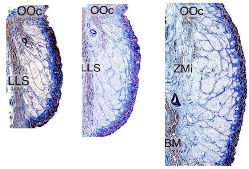 616122870 1180236814320502 3261156160216990779 n